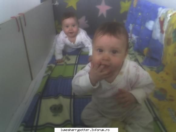 Aici trebuie sa va semnatzi daca ati vazut regulile - hay lin2 - Reguli