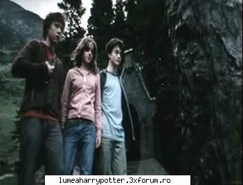 Filmele Haryy Potter - hermy_kmy_sefa - HARRY POTTER