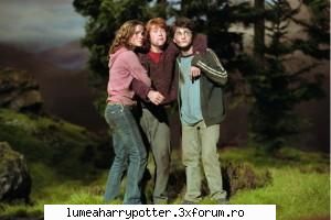 Filmele Haryy Potter - Fan Harry Potter - HARRY POTTER