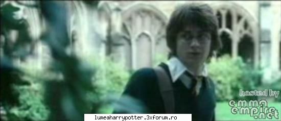 Filmele Haryy Potter - Fan Harry Potter - HARRY POTTER