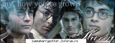 Filmele Haryy Potter - Fan Harry Potter - HARRY POTTER