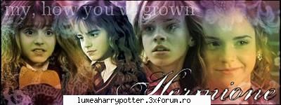 Filmele Haryy Potter - Fan Harry Potter - HARRY POTTER