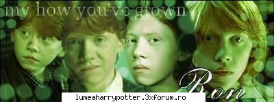 Filmele Haryy Potter - Fan Harry Potter - HARRY POTTER