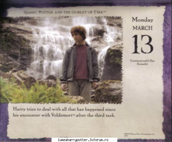 Filmele Haryy Potter - Alishor - HARRY POTTER