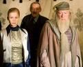 Flewr Delacour - blonda_badgirl - HARRY POTTER