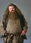 Hagrid - sigur ca Hagrid e de gasca - HARRY POTTER