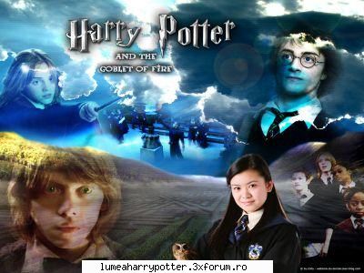 Harry potter - Harryona Po. - HARRY POTTER