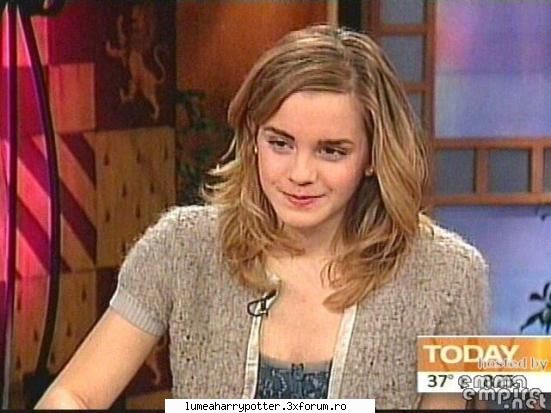 Hermione Granger - Fan Harry Potter - HARRY POTTER