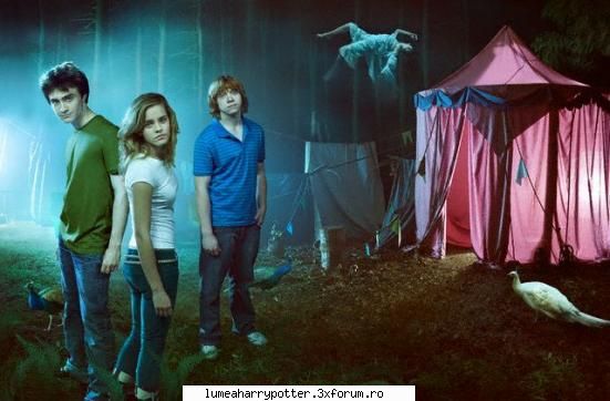 Noutati - hermy_kmy_sefa - HARRY POTTER