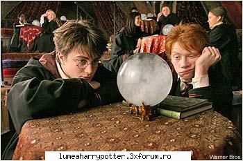 Poze haioase - am mai gasit una! - HARRY POTTER